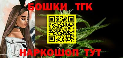 индика Пугачёв