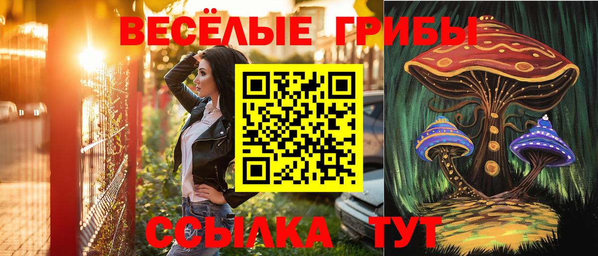 Галлюциногенные грибы мицелий  Вход с VPN  Псилоцибиновые грибы прущие грибы  Ступино 